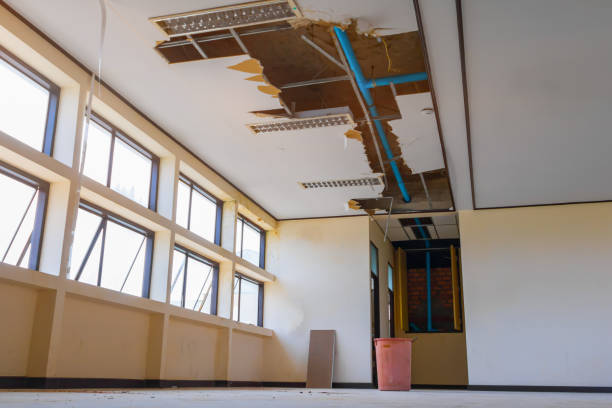 Best Water damage contractors near me  in Tropical Park, FL