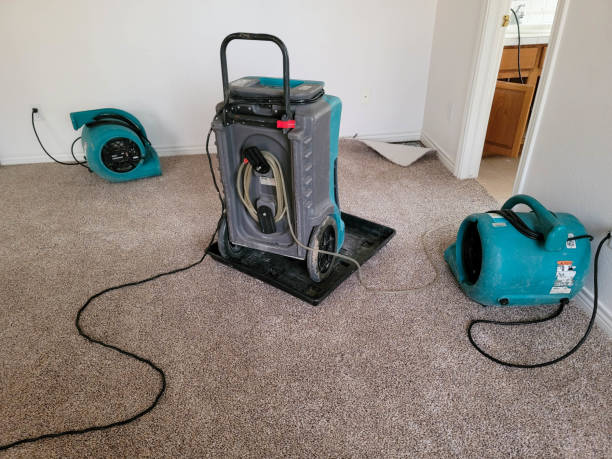 Best Water damage cleanup near me  in Tropical Park, FL