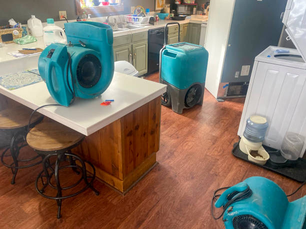 Best Water damage restoration near me  in Tropical Park, FL