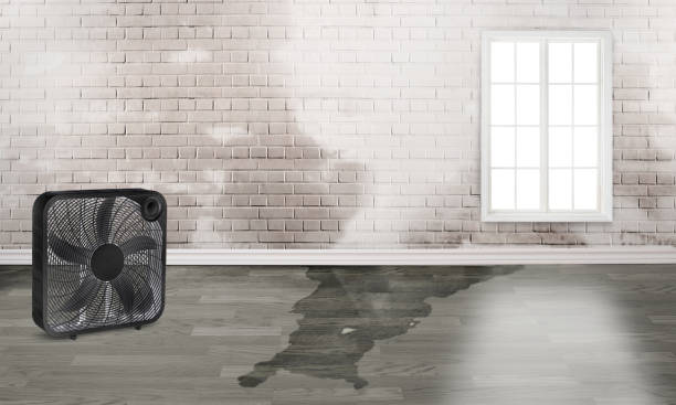  Tropical Park, FL Water damage restoration Pros