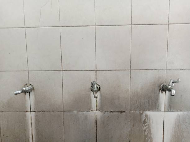 Best Basement water damage restoration  in Tropical Park, FL