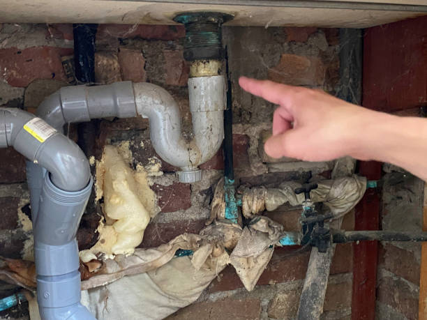 Best Mold removal after water damage  in Tropical Park, FL