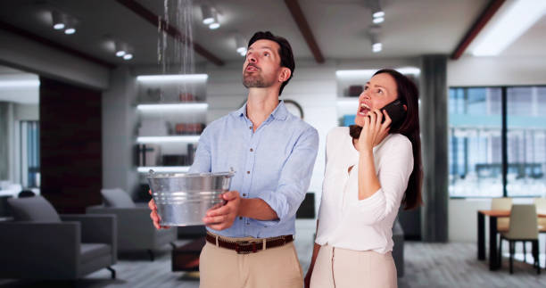Best Local water damage restoration  in Tropical Park, FL