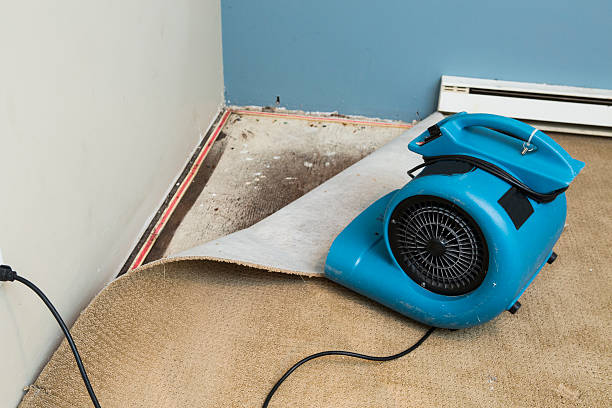 Best Fire Damage Restoration  in Tropical Park, FL